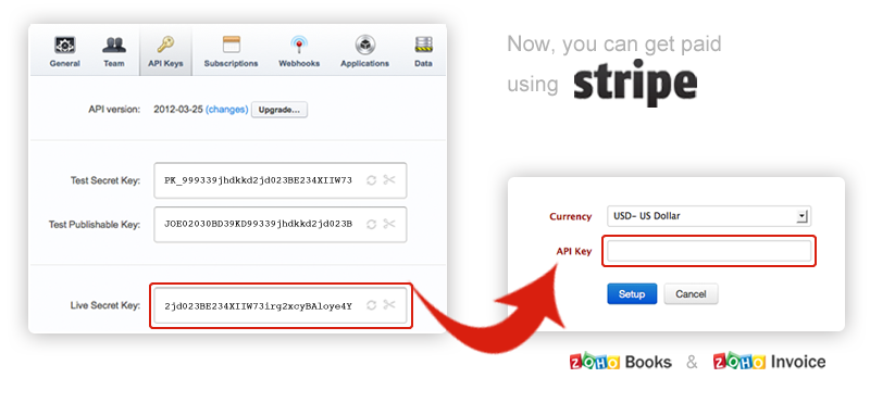 Accept online payment with Stripe